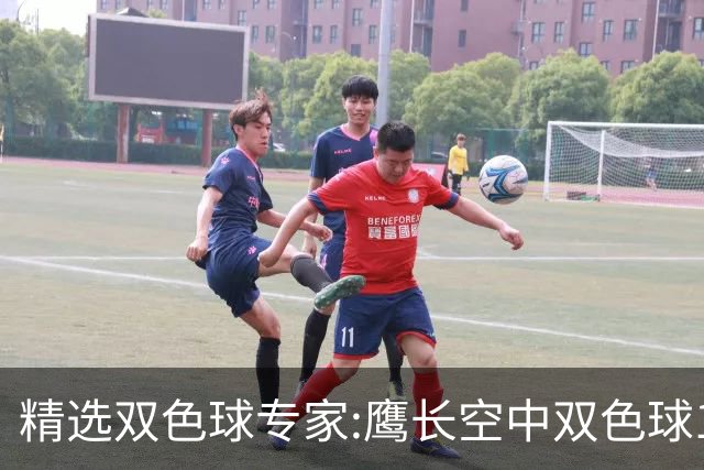 精选双色球专家:鹰长空中双色球146万累擒1788万!